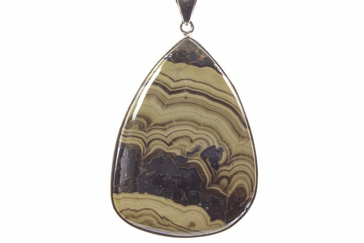 Polished Schalenblende Pendant (Necklace) - Sterling Silver #241258